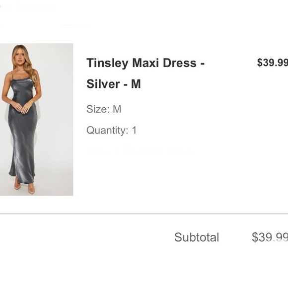 Silver Dress - Picture 8 of 8